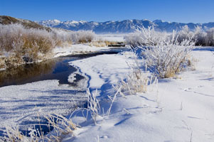 Tin Cup Creek 49